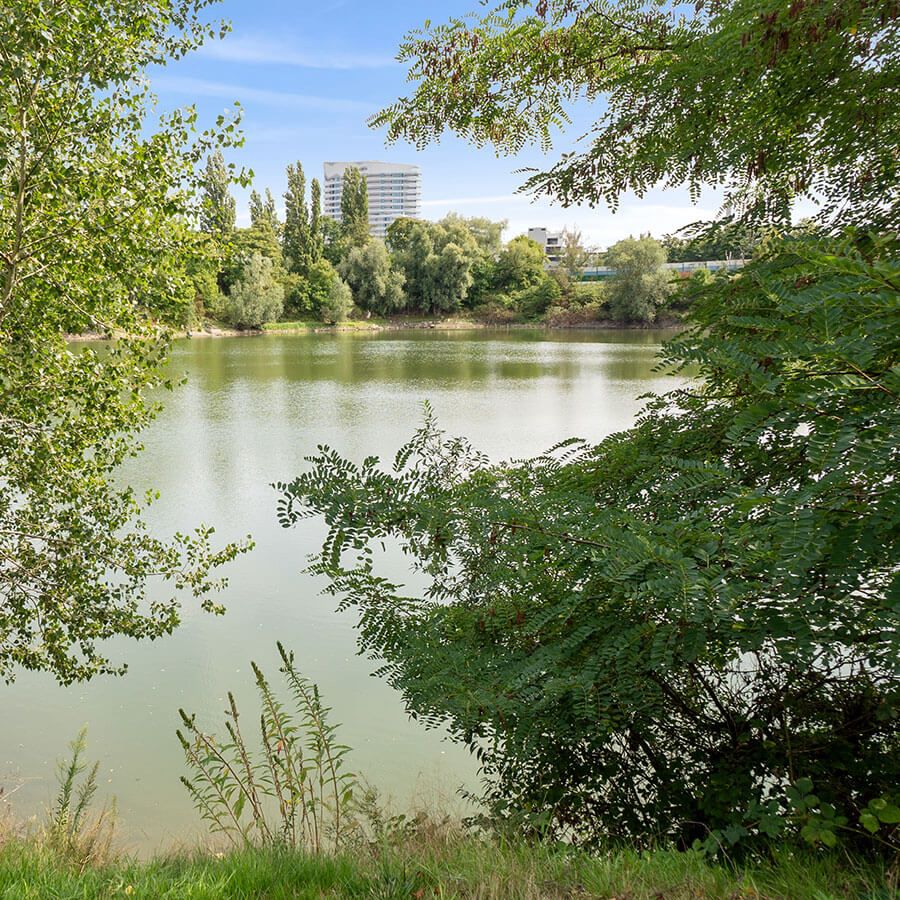 Albertussee